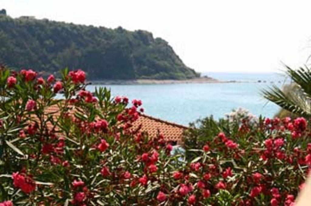 Baia Tropea Resort Паргелия Екстериор снимка